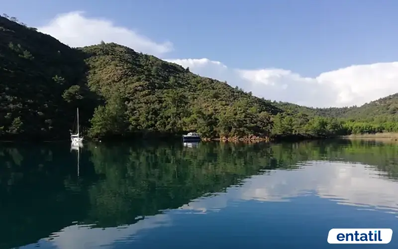 Boynuzbükü Koyu