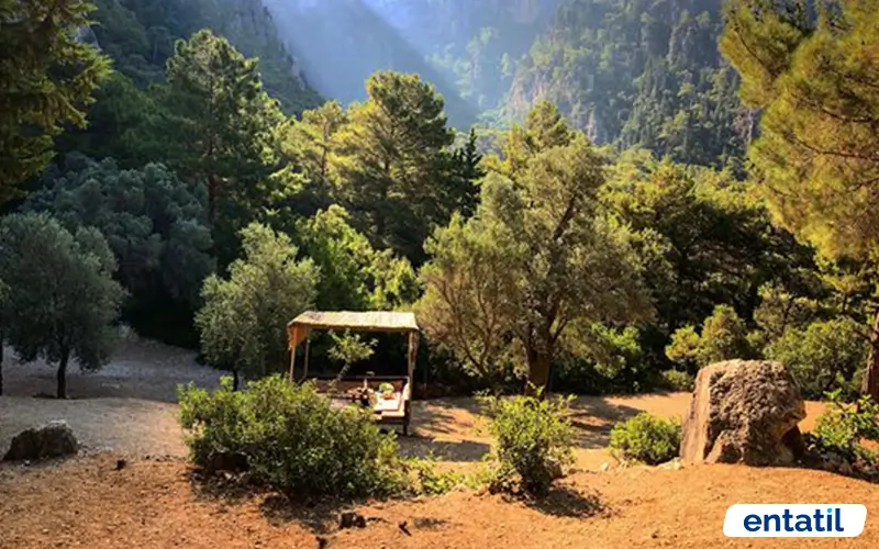 Cennet Kampı