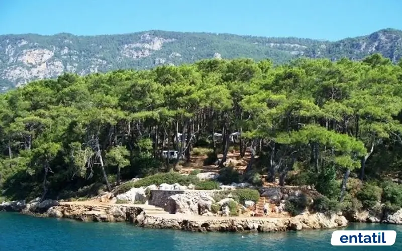 Çetibeli Orman Kampı