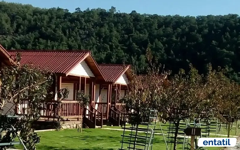 Çökertme Kamp Evleri