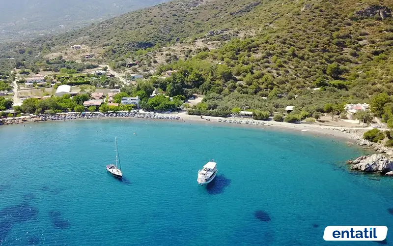 Domuzbükü Koyu Kamp Alanı