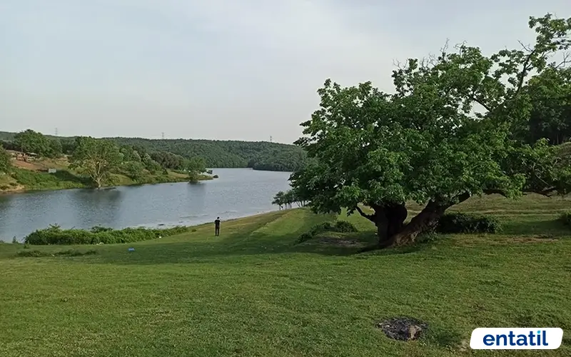 Esenceli Köyü Kamp Alanı