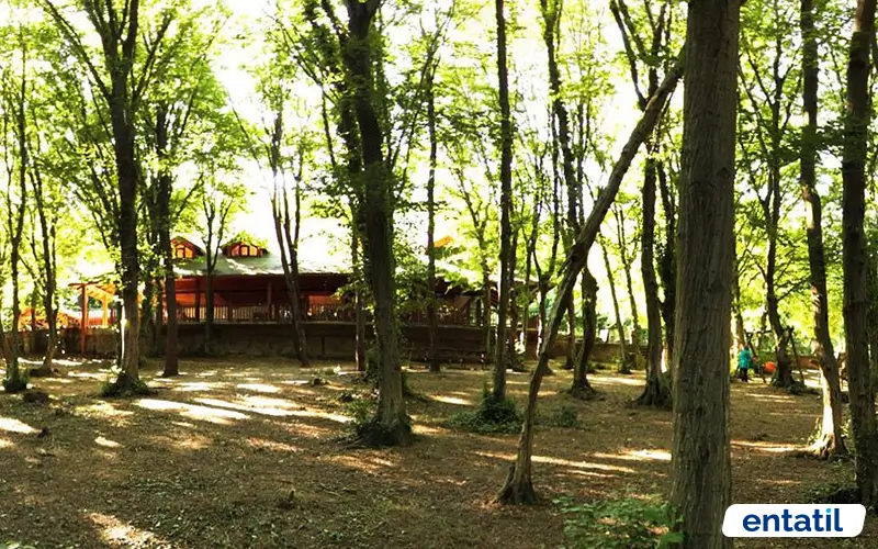 Fatih Ormanı Tabiat Parkı Kamp Alanı