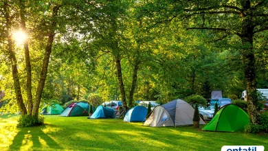 Fethiye Kamp Alanları
