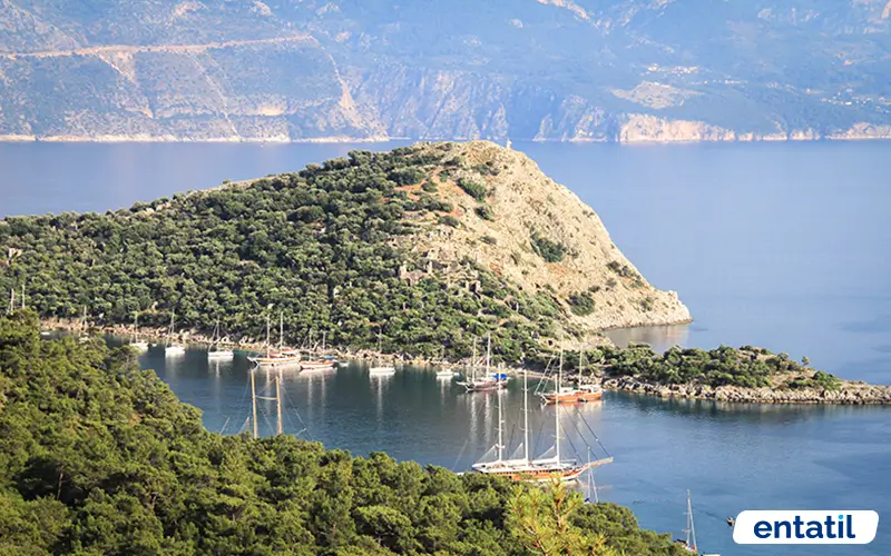 Gemile Adası