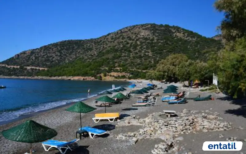 Gülbahar Pansiyon Camping