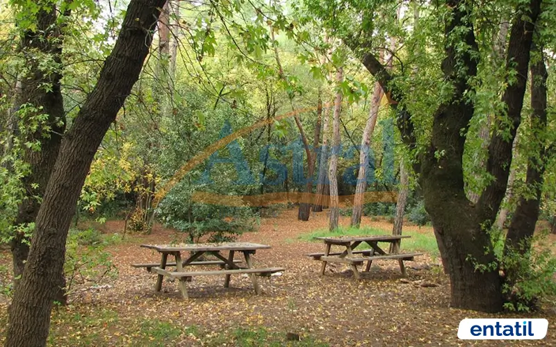 Günnücek Orman Parkı