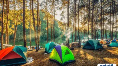 İstanbul Kamp Alanları
