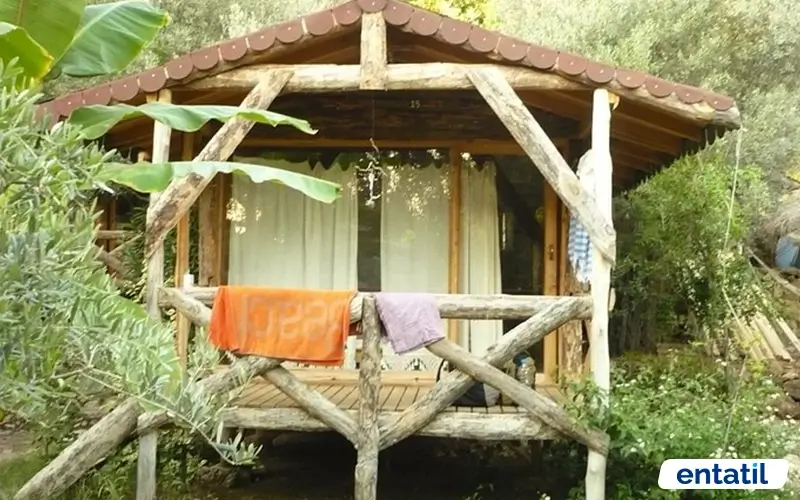 Kabak Natural Life