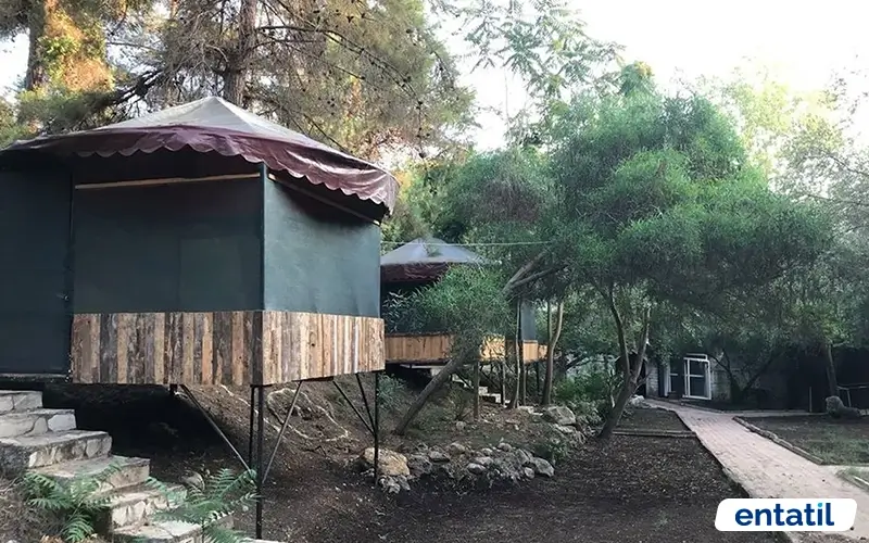 Kamp Alen İncekum