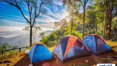 Marmaris Kamp Alanları