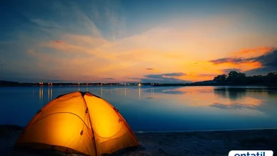 Muğla Kamp Alanları