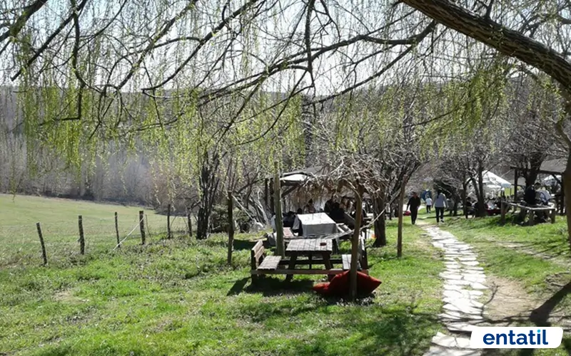 Polonezköy Kamp Alanı
