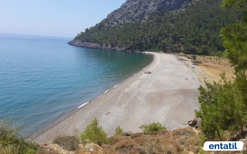 Prens Charles Koyu Kamp Alanı