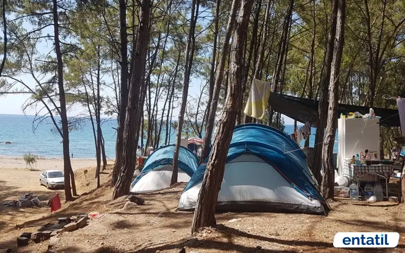 Pullu Tabiat Parkı Kamp Alanı