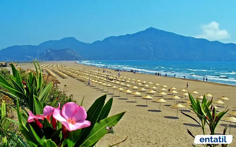 Sarıgerme Plajı