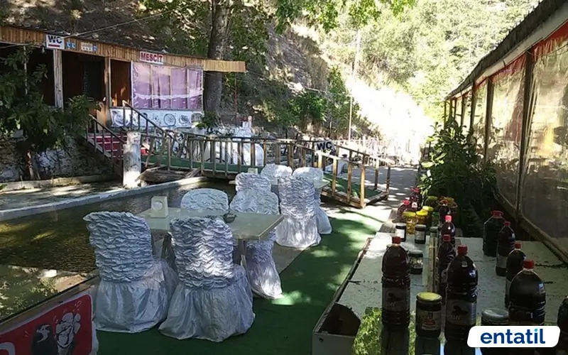 Şaymana Arslanköy Kamp Alanı