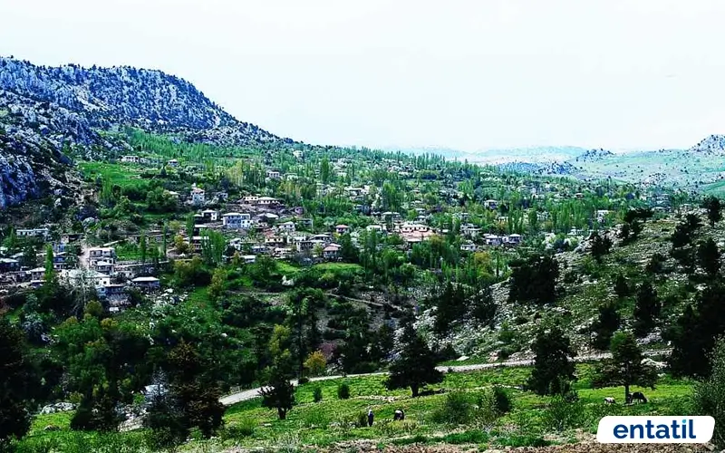 Sorgun-Erdemli Köyü Yaylası Kamp Alanı