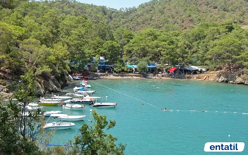 Sultan Kamp Alanı