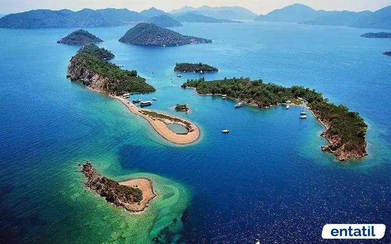 Yassıcalar