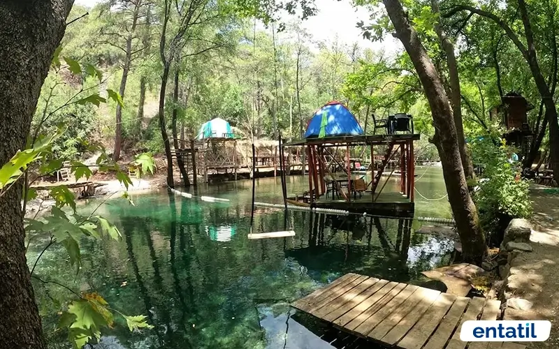 Yeşil Vadi Doğa Parkı Kamp Alanı