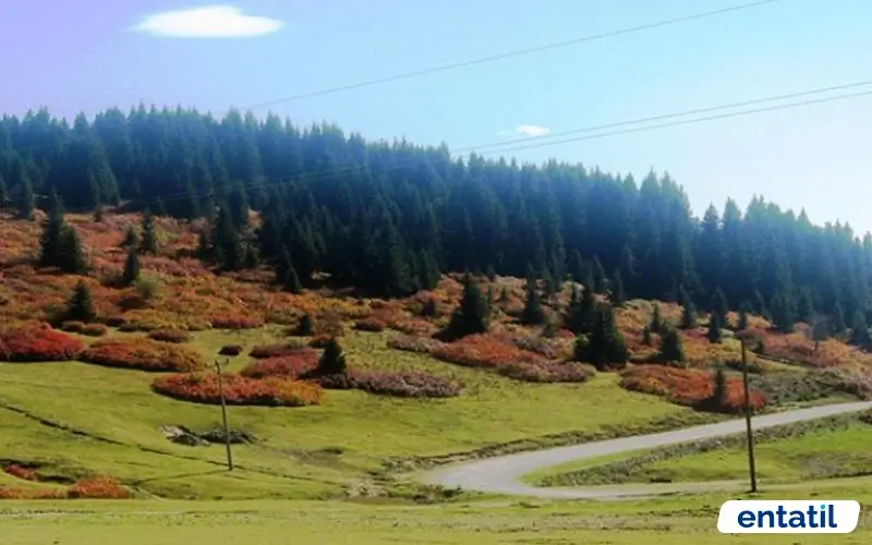Ağaçbaşı Tabiat Parkı