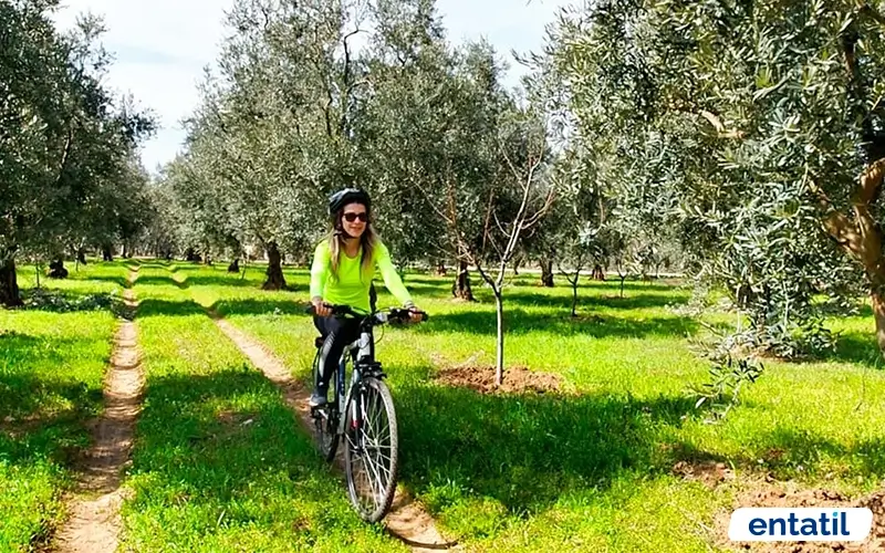 Evliya Çelebi Bisiklet ve Yürüyüş Yolu