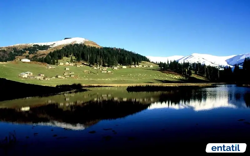 Gölyanı Yaylası