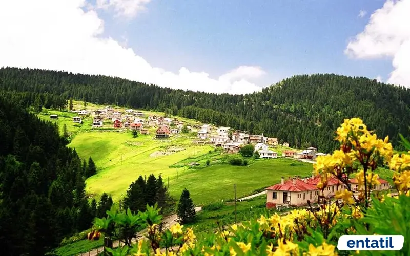 Kulakkaya Yaylası