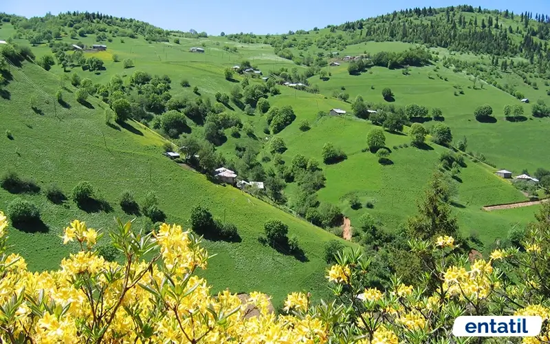 Kümbet Yaylası
