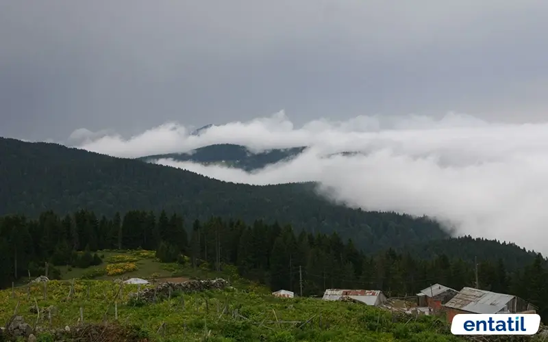 Paşakonağı Yaylası