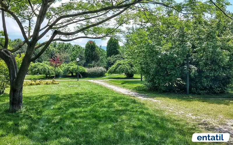 Soğanlı Botanik Parkı