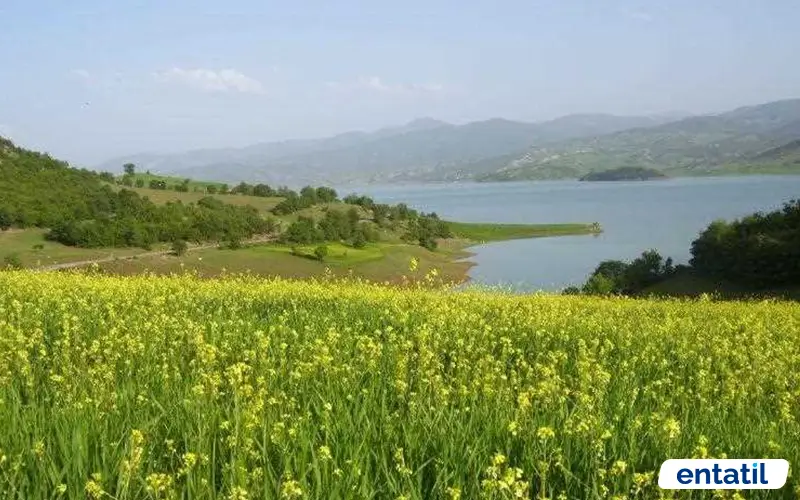 Almus Baraj Gölü