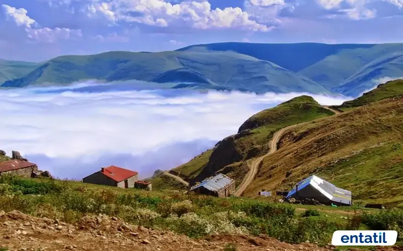 Boyunyurt Yaylası
