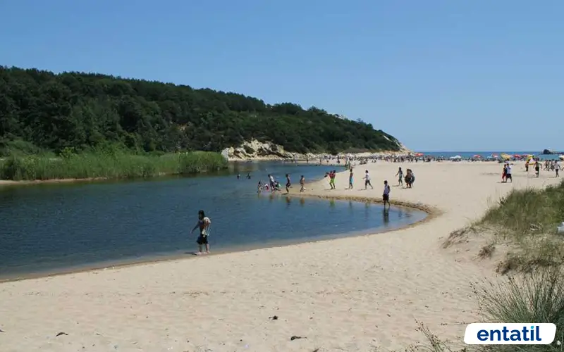 Çamlıkoy (Kastro) Tabiat Parkı