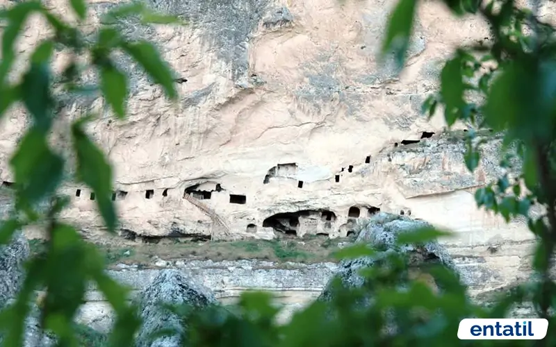 Derviş Hücreleri (İn Delikleri)