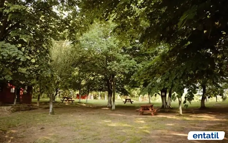 İstihkam Tepe Piknik Alanı