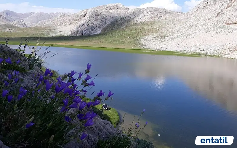 Kepir Yaylası
