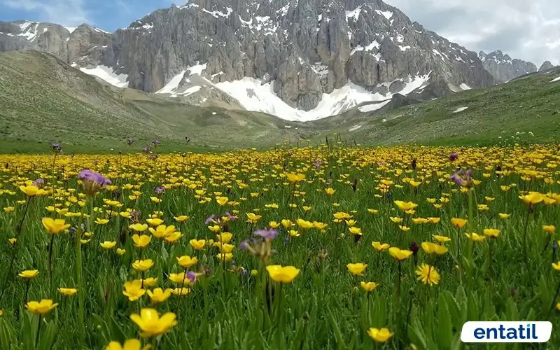 Munzur Dağları