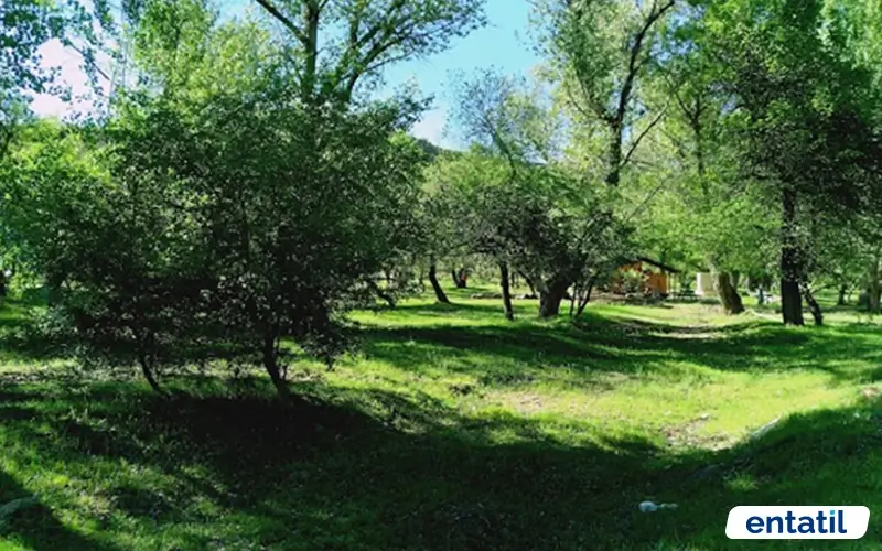Örenönü Tabiat Parkı