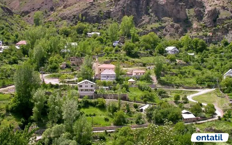 Süleymaniye Mahallesi