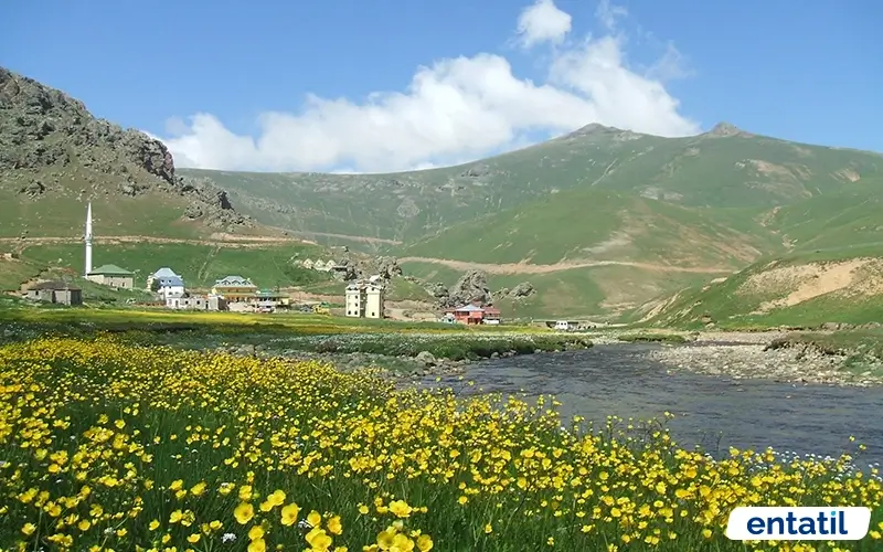 Taşköprü Yaylası