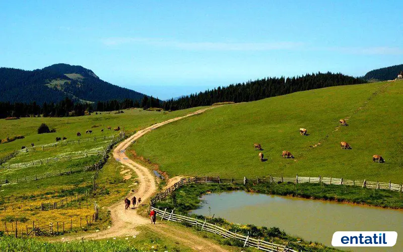 Topçam Yaylası