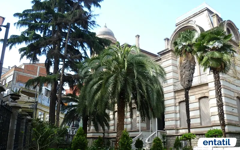 Trabzon Müzesi