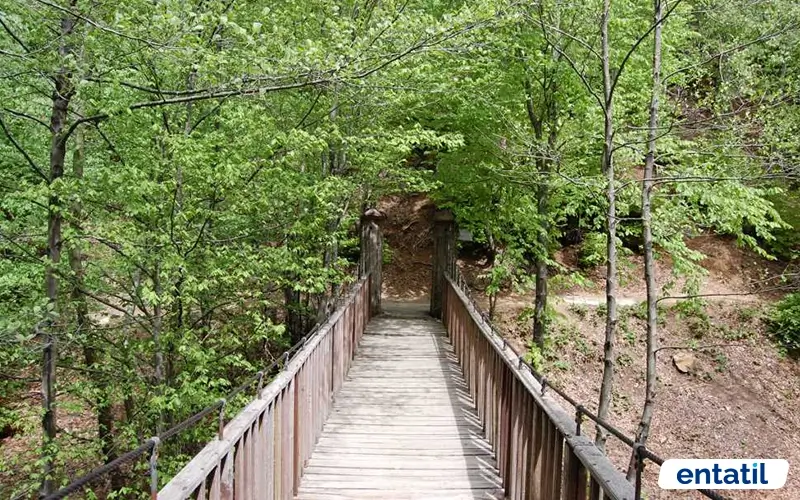 Yalova Kent Ormanı
