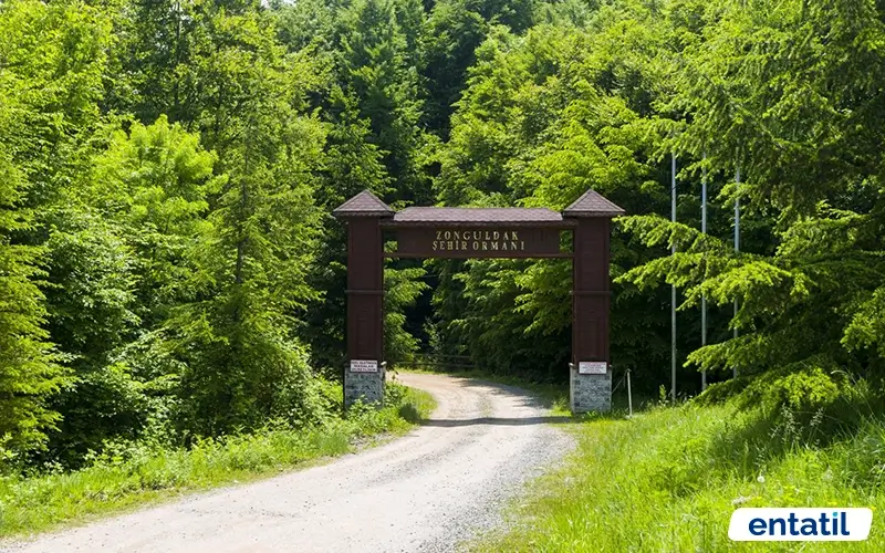 Zonguldak Kent Ormanı